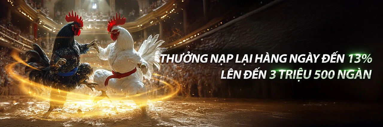Sân đấu đá gà Thomo 2023 sôi động